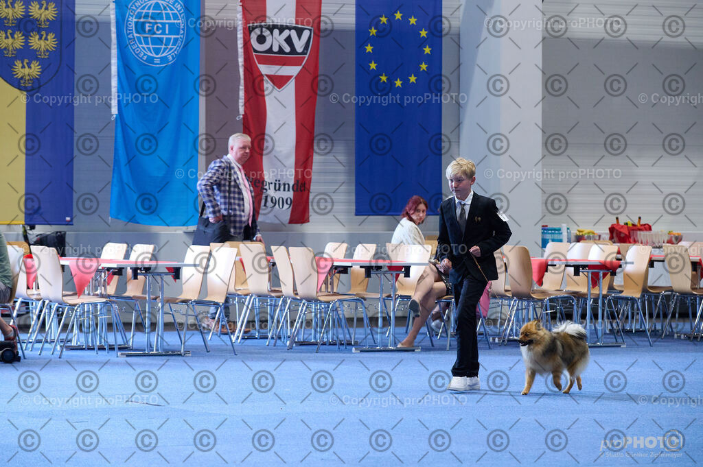 202406_ÖKV-IHA-Tulln24_DSC_4717 | proPHOTO - Realisiert mit Pictrs.com