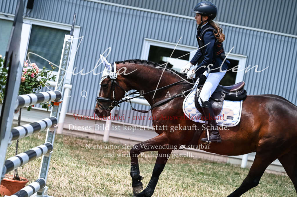 DSC_9601 | Pferde- und Turnierfotografie in Westsachsen. Pferdeportraits, Auftragszeichnungen und intuitive Kunst.