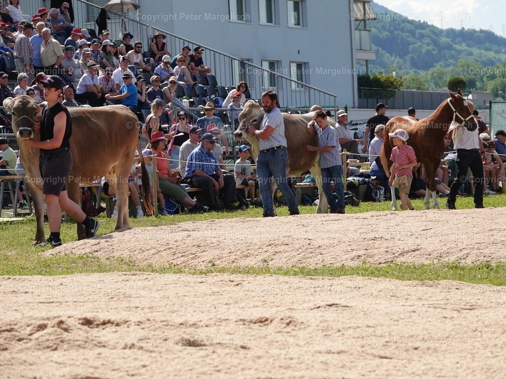 DSC06880 | Schwingen - Realisiert mit Pictrs.com