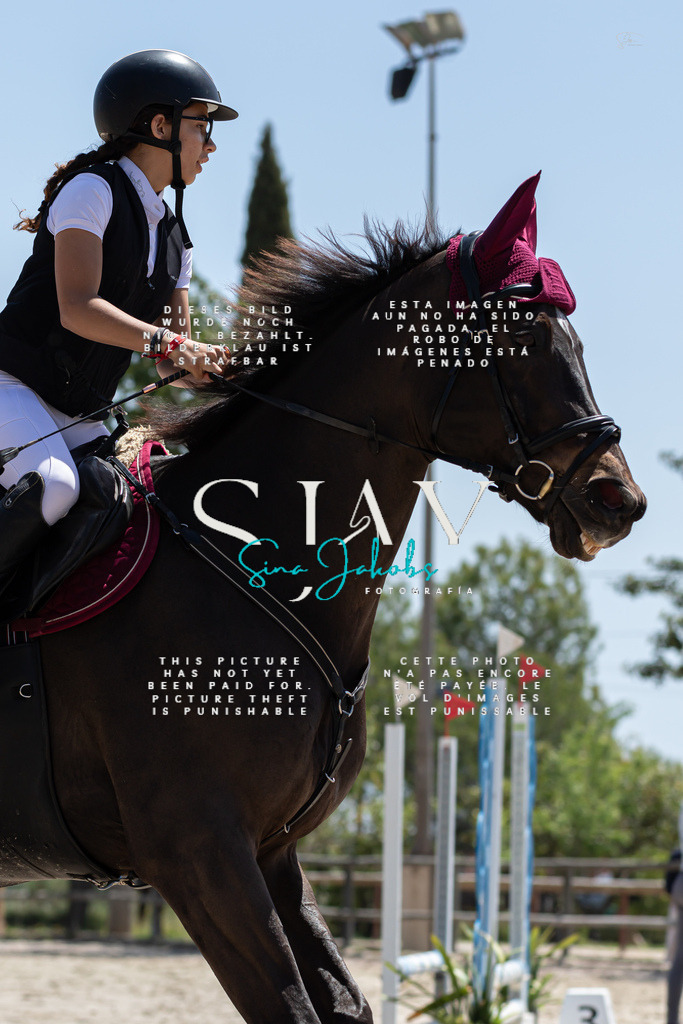 IMG_0202 | s-jay-photography - Realisiert mit Pictrs.com