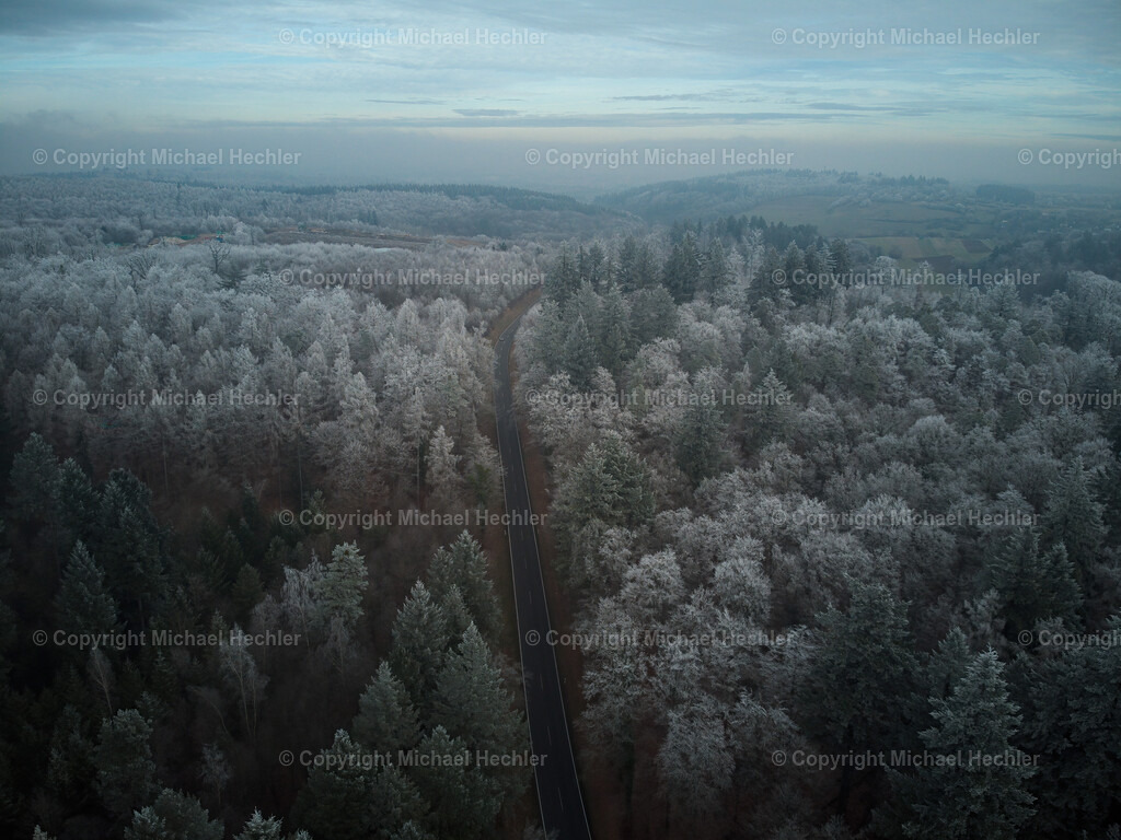 Frozzen Trees | Black and White Photography by Michael Hechler - Realisiert mit Pictrs.com