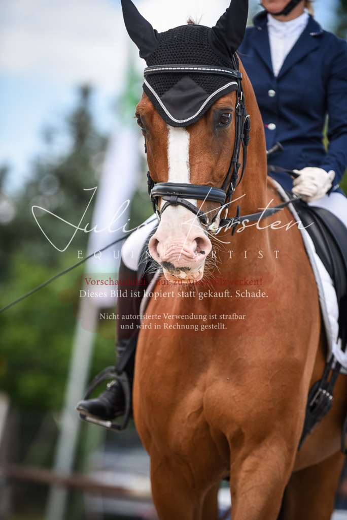 DSC_9230 | Pferde- und Turnierfotografie in Westsachsen. Pferdeportraits, Auftragszeichnungen und intuitive Kunst.