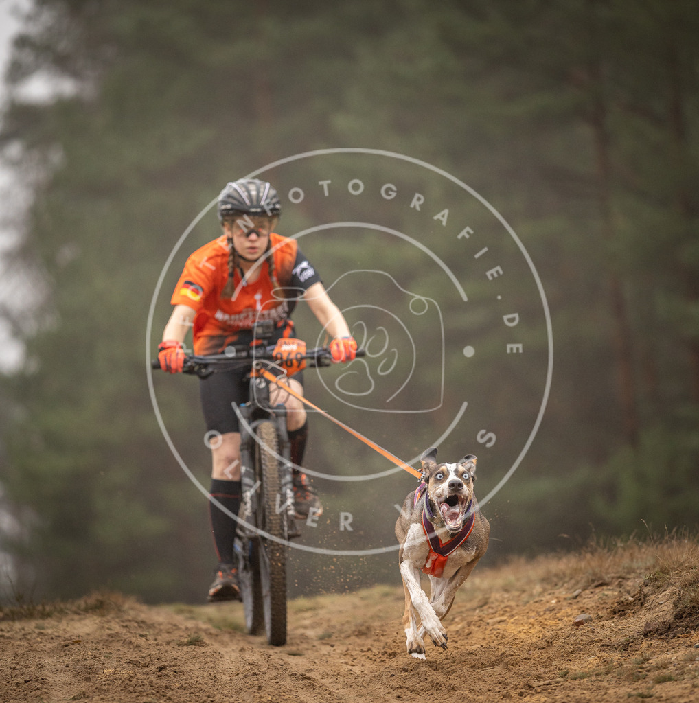Pfotenfotografie_DV3A2544 | Hundefotografie, Tierfotograf, Pfotenfotografie, Fotoshooting Hund, Hunde Portrait, Hundesport, Hundeportraits, Heideshooting, Hunde, Sportfotograf, Hundefotograf, Turnierhundsport, THS,  - Realisiert mit Pictrs.com