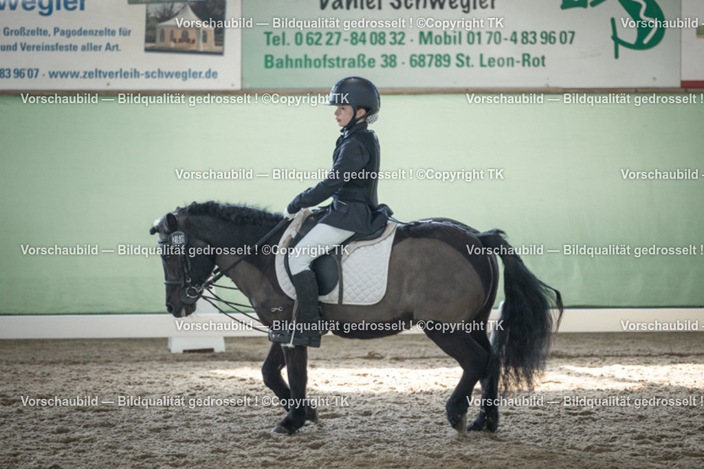 _D5A8955 | Emotionale Pferde- & People-Fotografie rund um Heidelberg, Leimen & Umgebung. Natürliche Fotos von Pferd, Mensch & Familie. Jetzt Termin sichern!