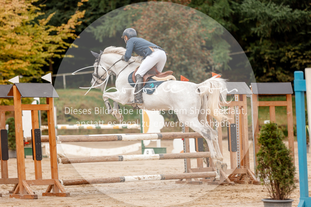3I6A6708 | Stimmungsvolle Portraits und Reitsportfotografie im Ruhrgebiet und im Münsterland.

Pferdefotografie, Hundefotografie, Tierfotografie, Reportagen, Portraits von Tier und Mensch, Turnierfotografie in Bochum, Recklinghausen, Marl, Haltern am See, Dülmen.. - Realisiert mit Pictrs.com