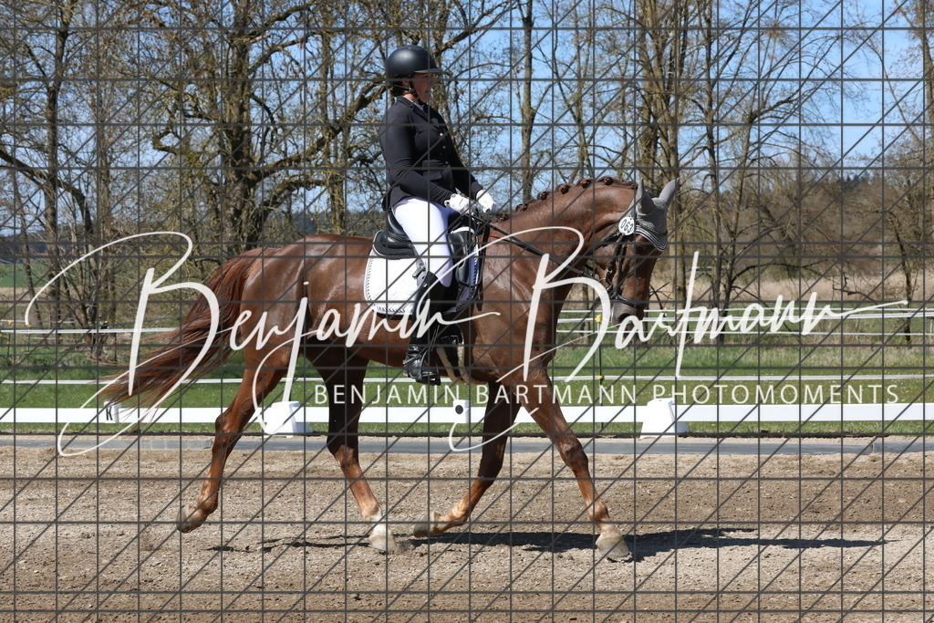 AZ2A4204 | Benjamin Bartmann Photomoments