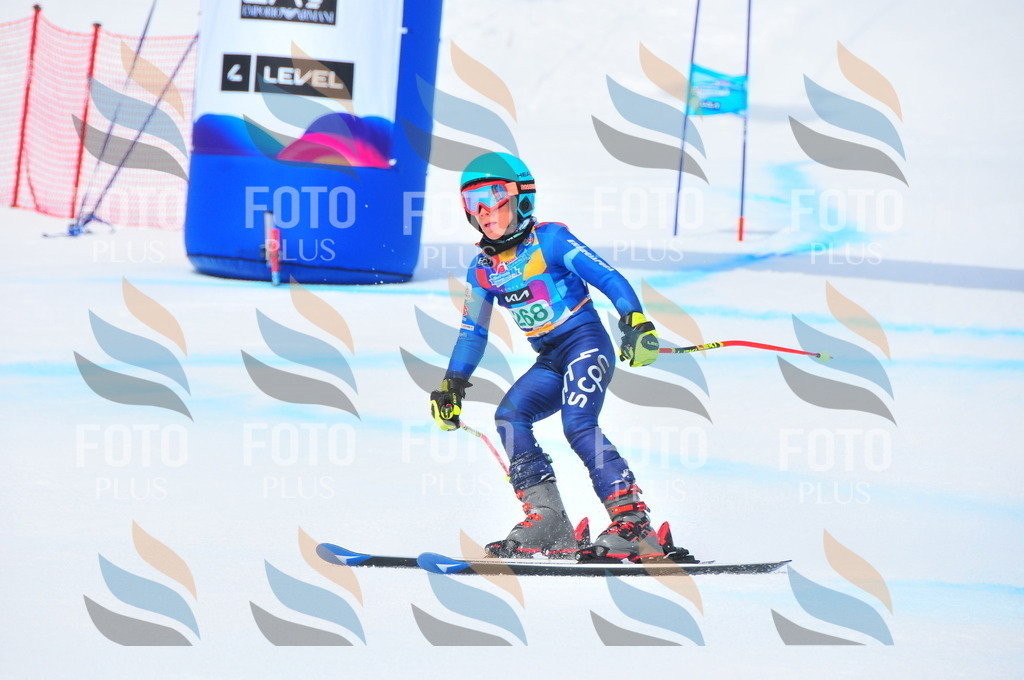 DSC_2493 | holidayphoto