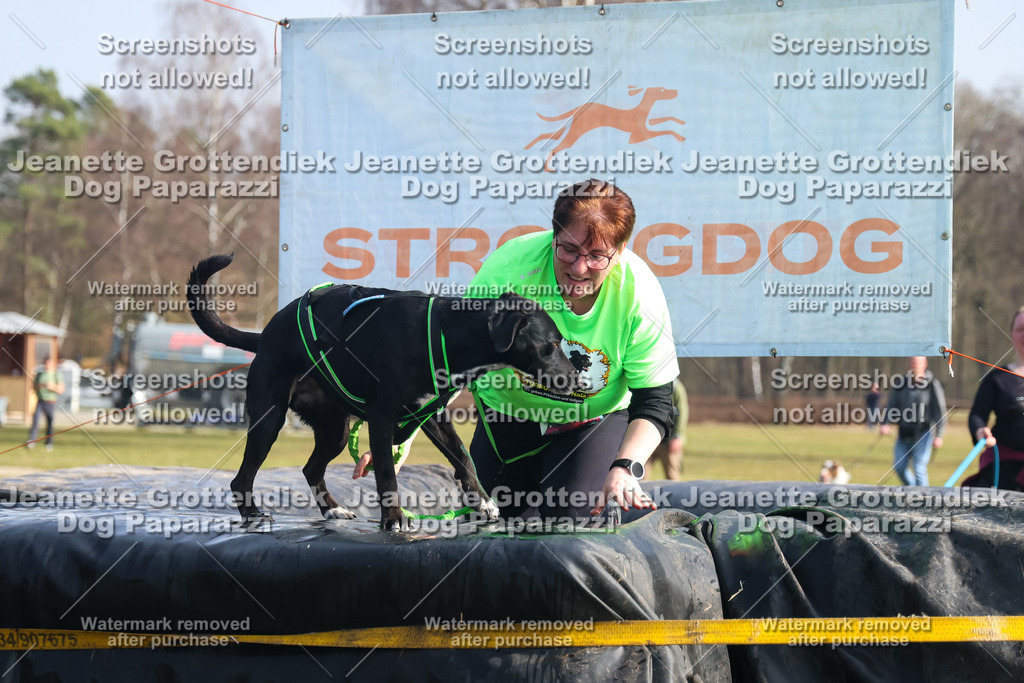 Dog Paparazzi - Strongdog North Mrz26-1665 | Dog Paparazzi Jeanette Grottendiek Fotografie & Videografie - Realisiert mit Pictrs.com