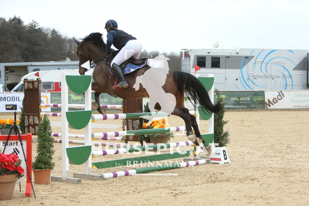 DL2Q6820 | Willkommen bei Brunnmayr - Design & Fotografie – Ihrem Spezialisten für Reitturniere und Pferdeveranstaltungen in Oberösterreich, Salzburg und Bayern! Seit über 17 Jahren sind wir leidenschaftlich dabei.