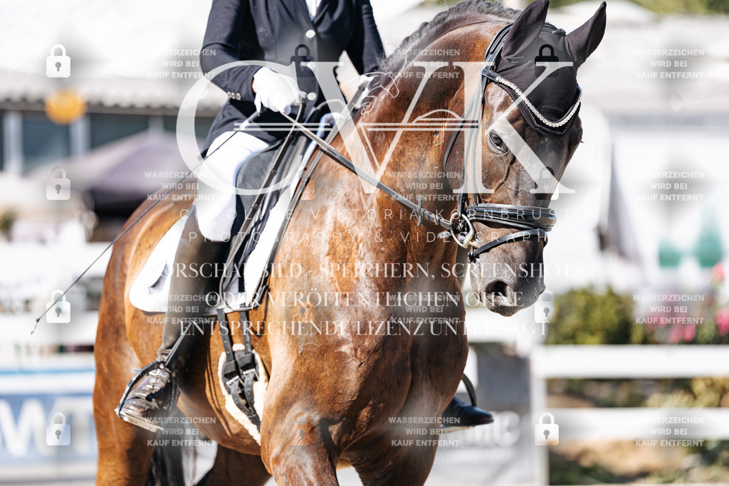 CK908553 | Turnierfotografie Pferdefotografie Trier Rheinland-Pfalz Pferdesport Reitsport Tierfotografie Sportfotografie Pferdevideo Pferdevideografie Equestrianvideography equestrianphotography  - Realisiert mit Pictrs.com