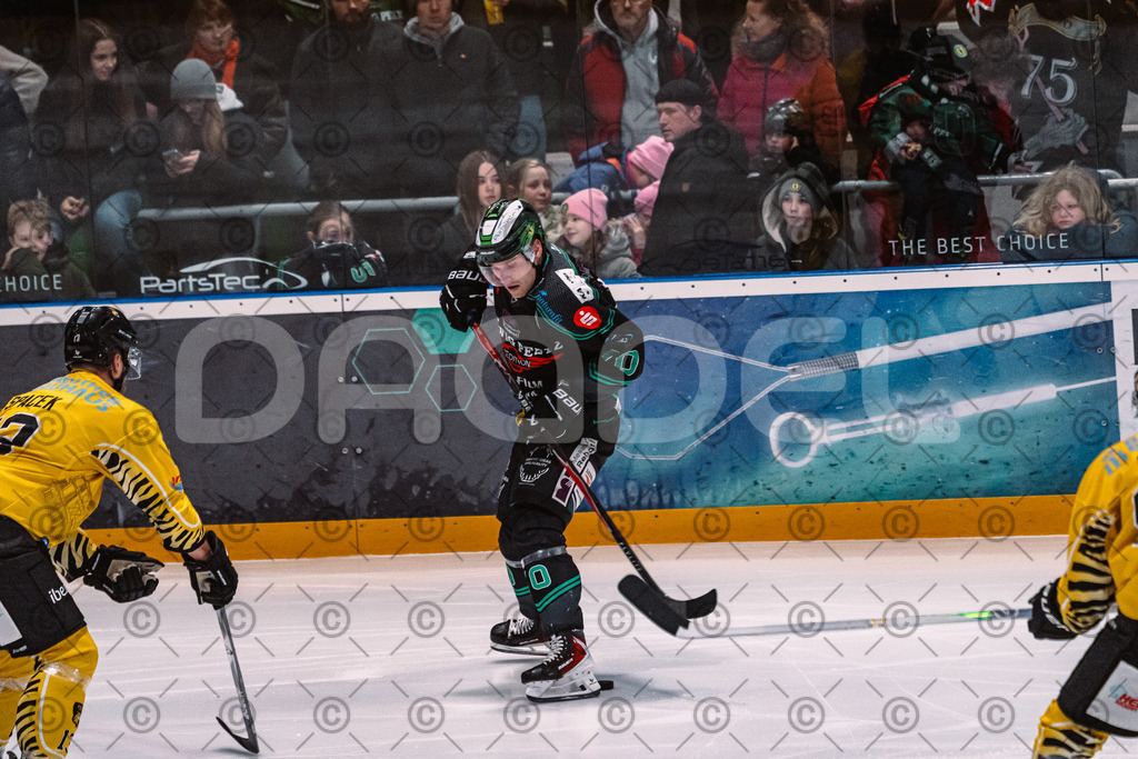Alligators_vs_Bayreuth_16_01_2026-33 | Höchstadt Alligators Fotogalerie: Eishockey-Action aus Franken. Professionelle Spielfotos, Portraits & Stadionbilder zum Download. Jetzt entdecken! - Realisiert mit Pictrs.com