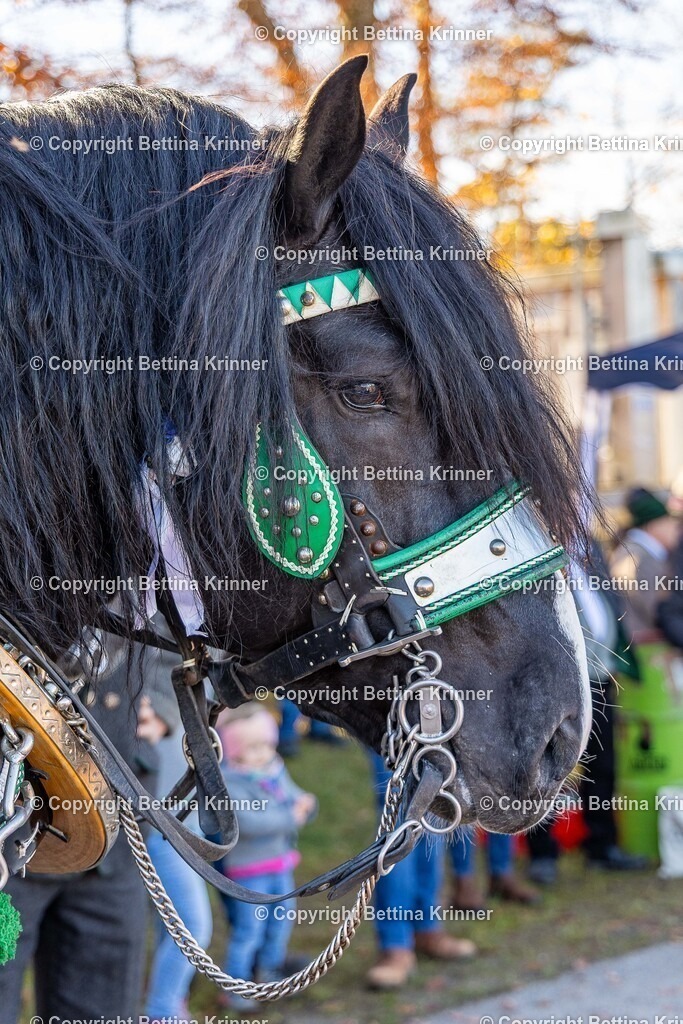 LBT25-1363 | foto-bettina-krinner - Realisiert mit Pictrs.com