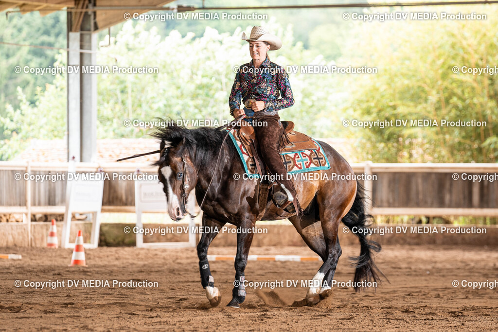 Erbach Tag 1-621 | dv-media-shop - Realisiert mit Pictrs.com