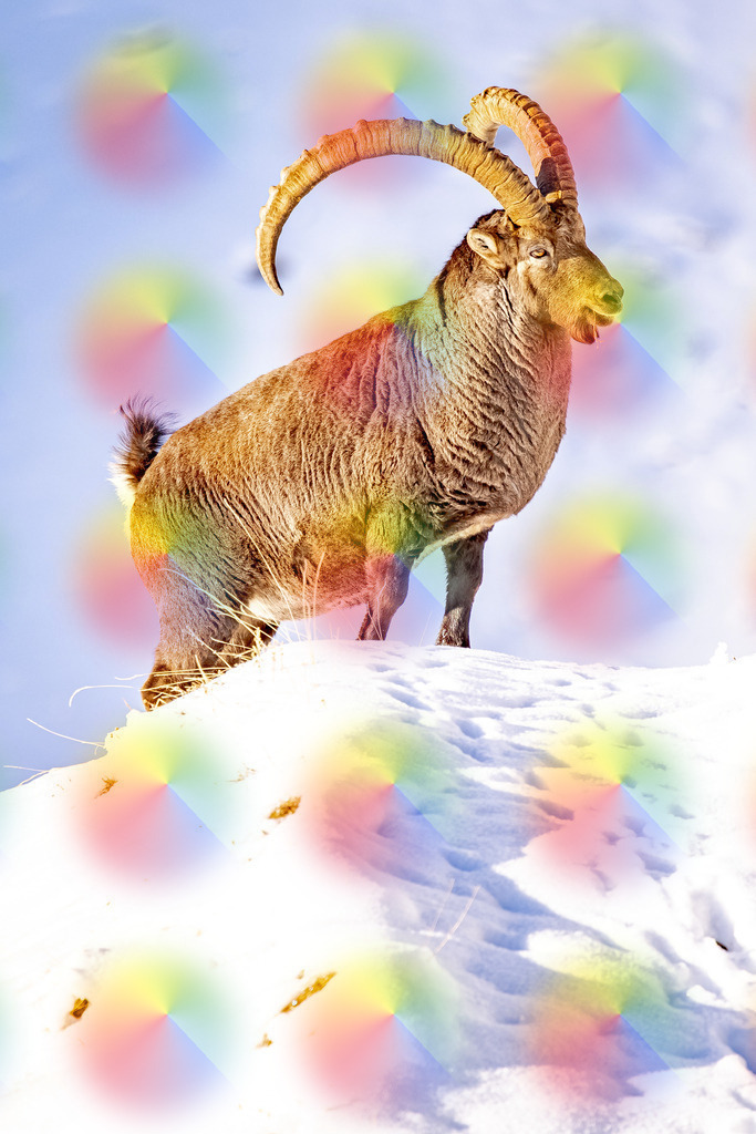 148A4492 | FineArtPrint, Hahnemühle, FeeGalerie, Fee Galerie, Fotokunst, Fotografie, Canonphotography, Bergfoto, Matterhorn, Rimpfischhorn, Allalinhorn, Saas-Fee, Wallis, Valais, Switzerland, Bergfotografie