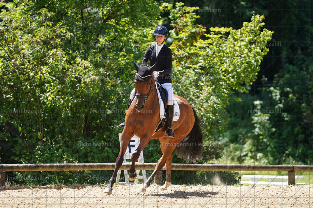 20240705-FAH03972 | Turnierbilder von Grafing, Reitsportbilder, Turnierfotos, Turnierfotografen Bayern, Pferdefotograf, Fotoagentur Herrmann