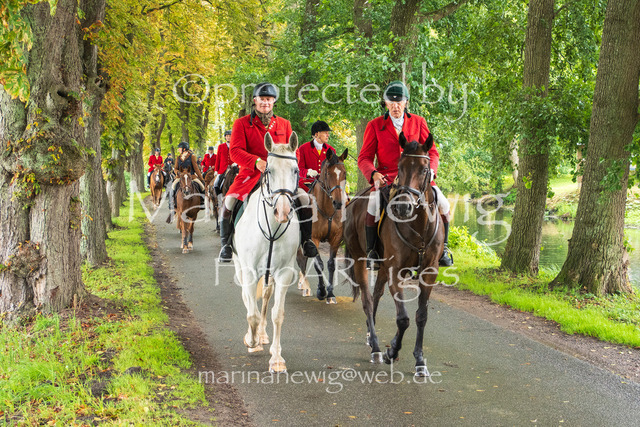 Jagd Kletkamp 26-9561_MarinaHewig | Fotografie, FotoArt, PferdesportArt, Pferdesportfotografie, Landschaftsfotografie, Reisefotografie, Reise, Pferde - Realisiert mit Pictrs.com