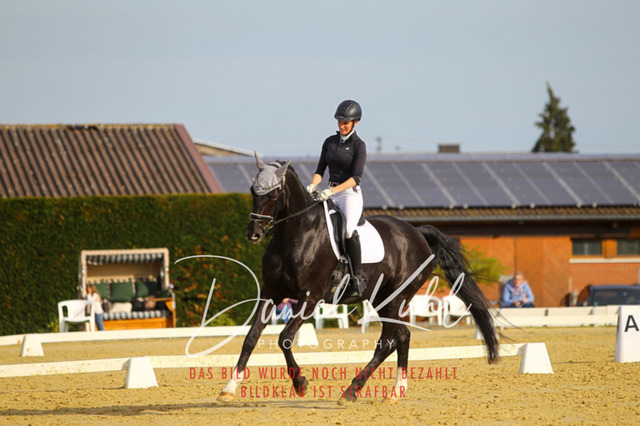 DKP43433 | Turniersportfotografie; Pferdefotografie; Dressurfotografie