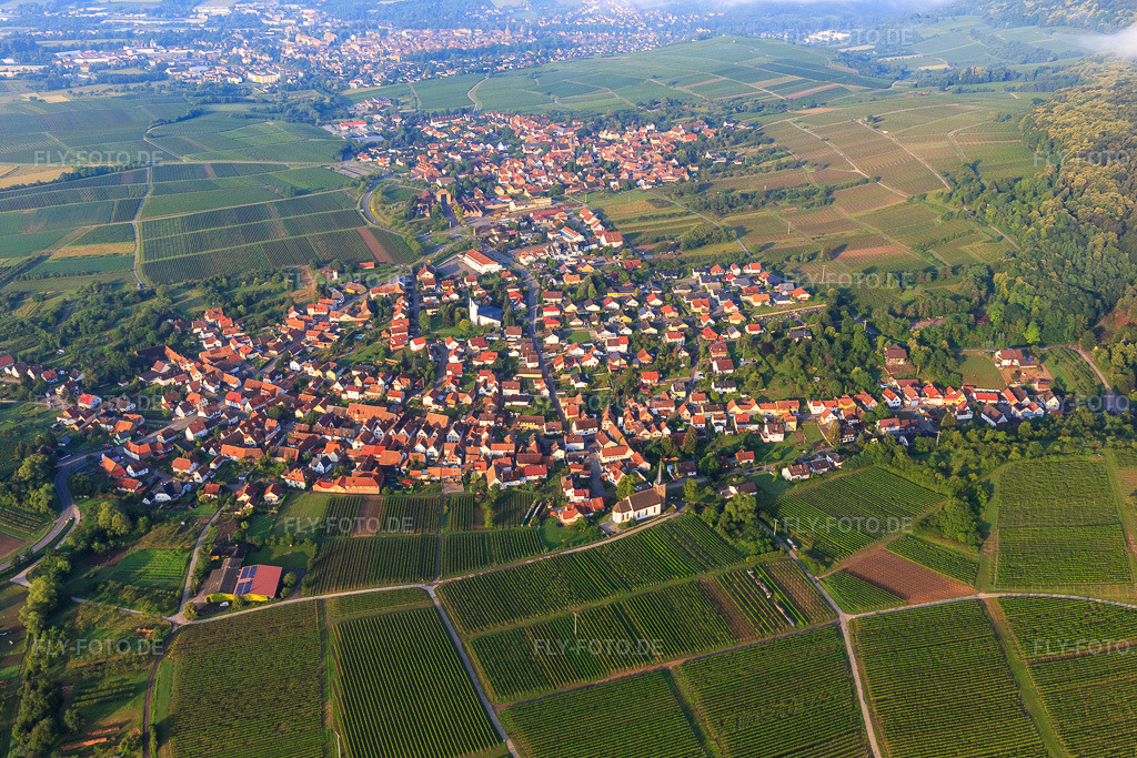 Luftbild: Winzerdorf aus Norden im Ortsteil Rechtenbach in Schweigen-Rechtenbach im Bundesland Rheinland-Pfalz in Deutschland. Foto: IMG_107832.jpg vom 10.06.2018 durch Werner Riehm/FLY-FOTO.de