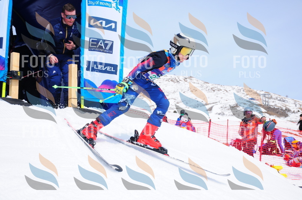 DSC_2666 | holidayphoto