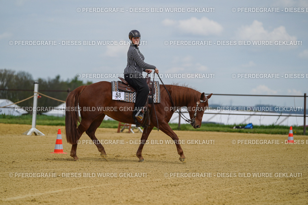 DSC05550 | Pferdegrafie