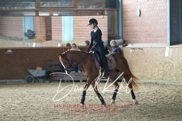 DKP42587 | Turniersportfotografie; Pferdefotografie; Dressurfotografie