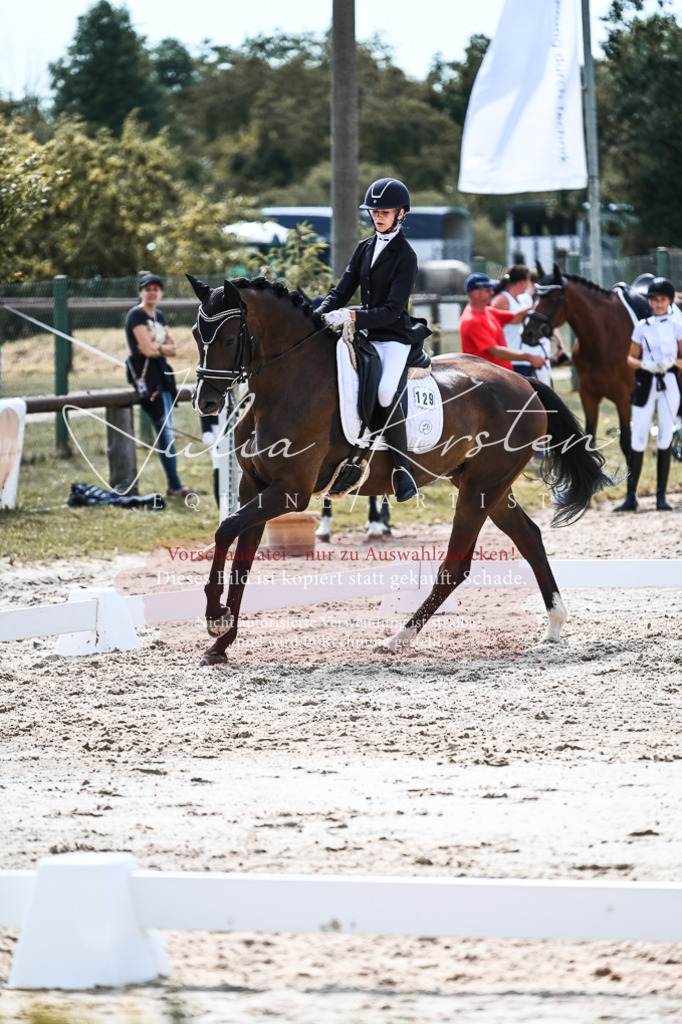 DSC_5219 | Pferde- und Turnierfotografie in Westsachsen. Pferdeportraits, Auftragszeichnungen und intuitive Kunst.