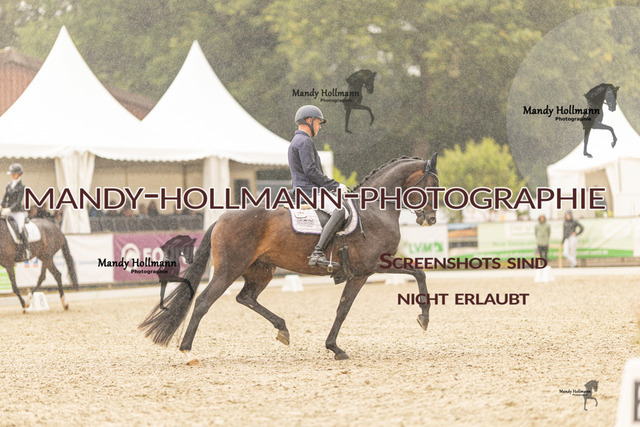 SW 4-1054 | mandyhollmannphotographie