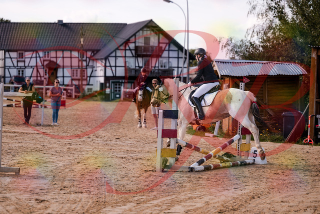 2026_10_03_Siefer-Hof_144303_Z81_16503727 | Professionelle Reitsport-, Turnier- und Eventfotografie von Robert Broda. Galerien mit ausgewählten und bearbeiteten Bildern direkt online ansehen und bestellen.