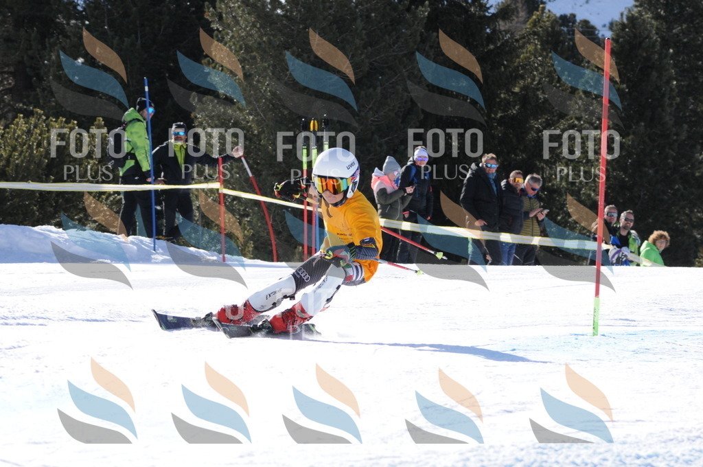 C7146 | holidayphoto