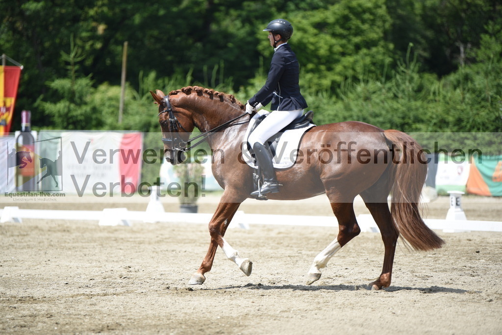 DSC_9041 | equestrian-live-com