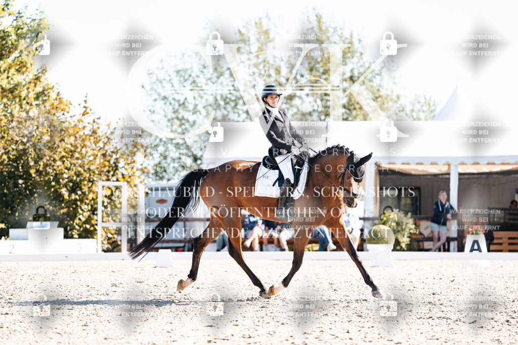 CK908608 | Turnierfotografie Pferdefotografie Trier Rheinland-Pfalz Pferdesport Reitsport Tierfotografie Sportfotografie Pferdevideo Pferdevideografie Equestrianvideography equestrianphotography  - Realisiert mit Pictrs.com