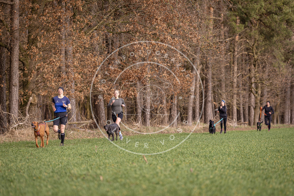 DV3A6043 | Hundefotografie, Tierfotograf, Pfotenfotografie, Fotoshooting Hund, Hunde Portrait, Hundesport, Hundeportraits, Heideshooting, Hunde, Sportfotograf, Hundefotograf, Turnierhundsport, THS,  - Realisiert mit Pictrs.com