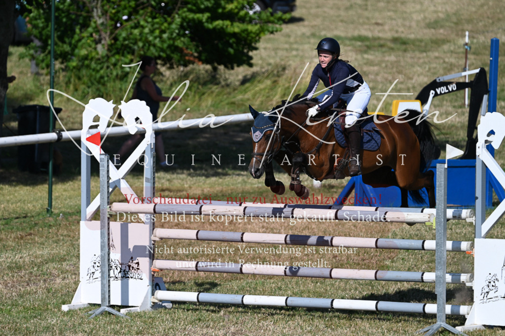 DSC_2448 | Pferde- und Turnierfotografie in Westsachsen. Pferdeportraits, Auftragszeichnungen und intuitive Kunst.