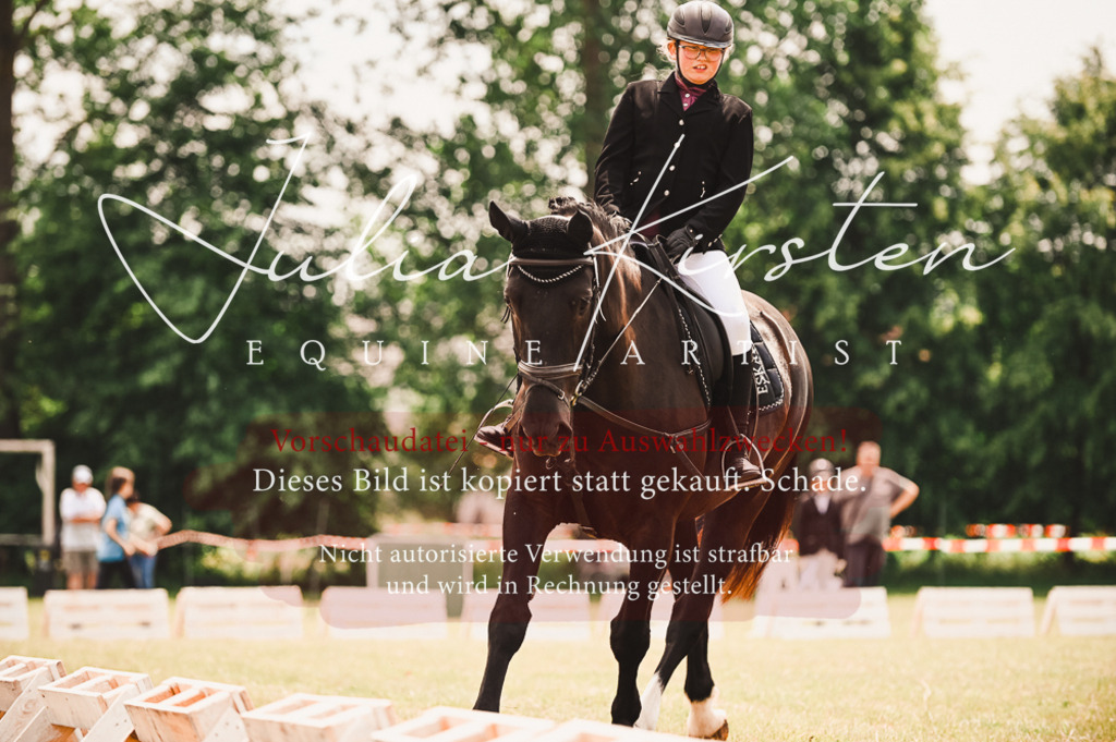 DSC_6216 | Pferde- und Turnierfotografie in Westsachsen. Pferdeportraits, Auftragszeichnungen und intuitive Kunst.