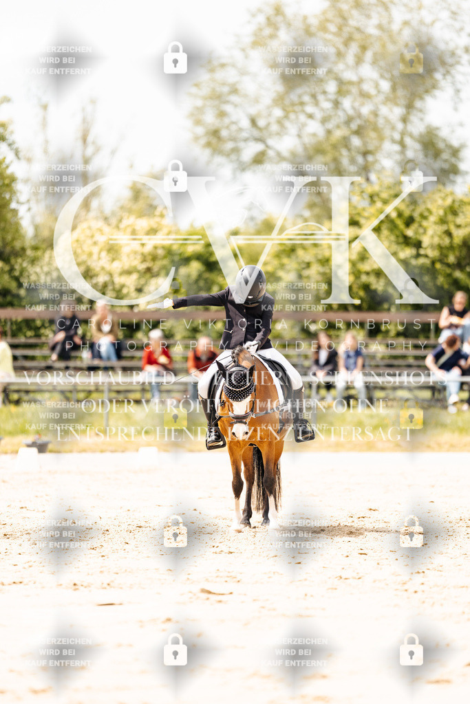 CK902432 | Turnierfotografie Pferdefotografie Trier Rheinland-Pfalz Pferdesport Reitsport Tierfotografie Sportfotografie Pferdevideo Pferdevideografie Equestrianvideography equestrianphotography  - Realisiert mit Pictrs.com