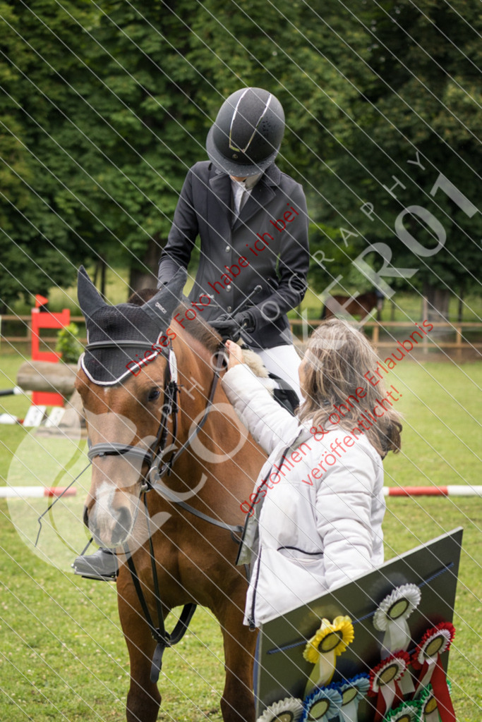 IMG_7930 | Sport-, Event- und Tierfotos in Profiqualität. Einfach auswählen, bestellen und herunterladen. Dein Moment – perfekt festgehalten.