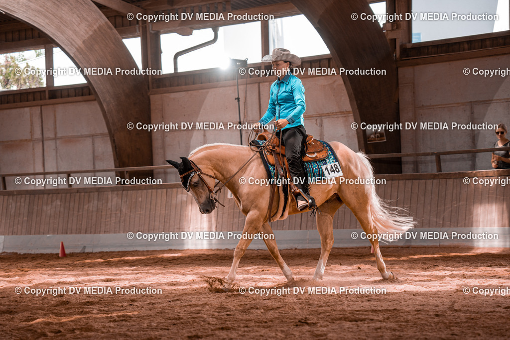 NE100466 | dv-media-shop - Realisiert mit Pictrs.com