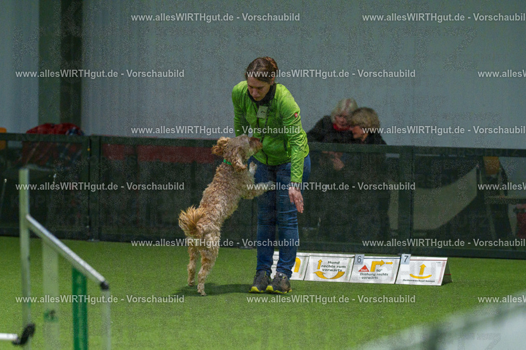 7R504494 | Professionelle Tierfotografie in Mönchengladbach von Daniel Wirth (allesWIRTHgut). Liebevolle & natürliche Bilder von Hunden & Katzen für unvergessliche Erinnerungen.