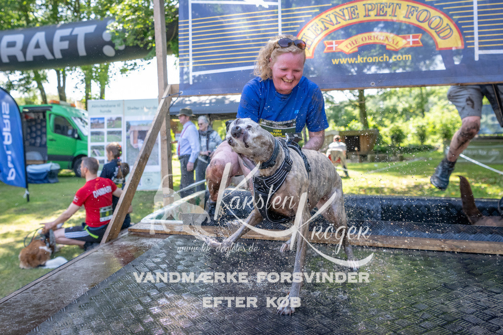 1422_ZZ93954 | kk-dogfotos