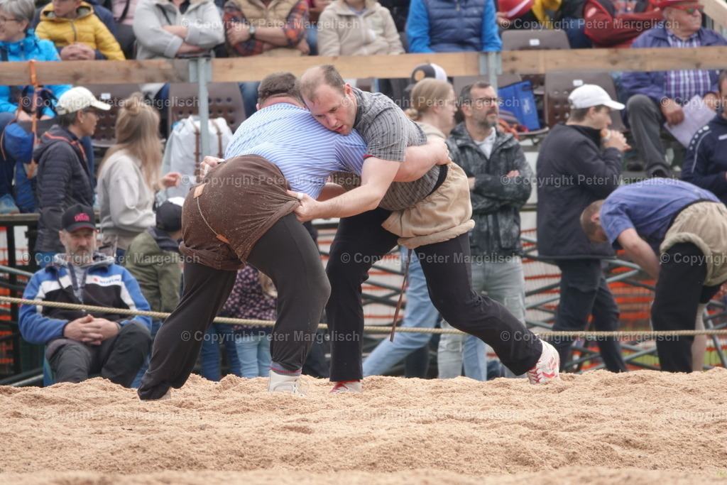 DSC04070 | Schwingen - Realisiert mit Pictrs.com