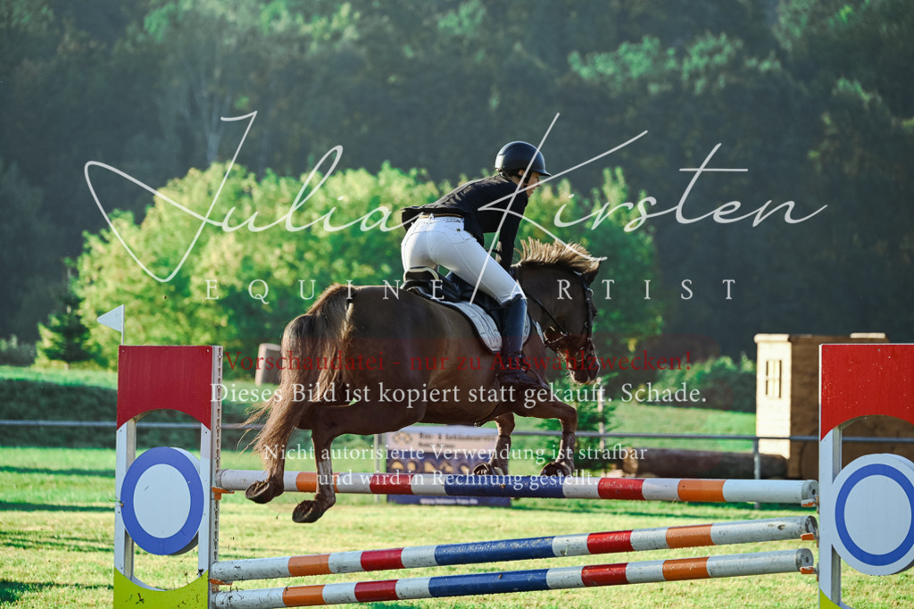DSC_4025 | Pferde- und Turnierfotografie in Westsachsen. Pferdeportraits, Auftragszeichnungen und intuitive Kunst.