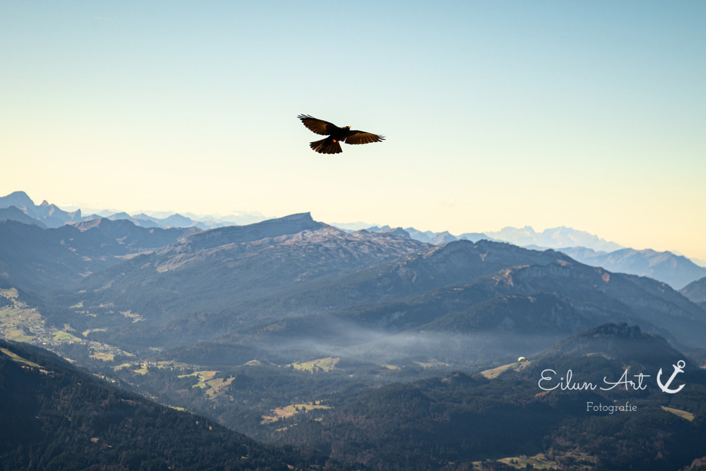 20241029-EAF_5070 | Eilun-Art-Fotografie Levke Martens, ihre Fotografin für Immobilien- und Landschaftsfotografie auf Föhr, Föhrer Motive als Poster, Leinwand, hinter Acrylglas oder stelle dir deinen eigenen Monatskalender zusammen, mit nur einem Klick