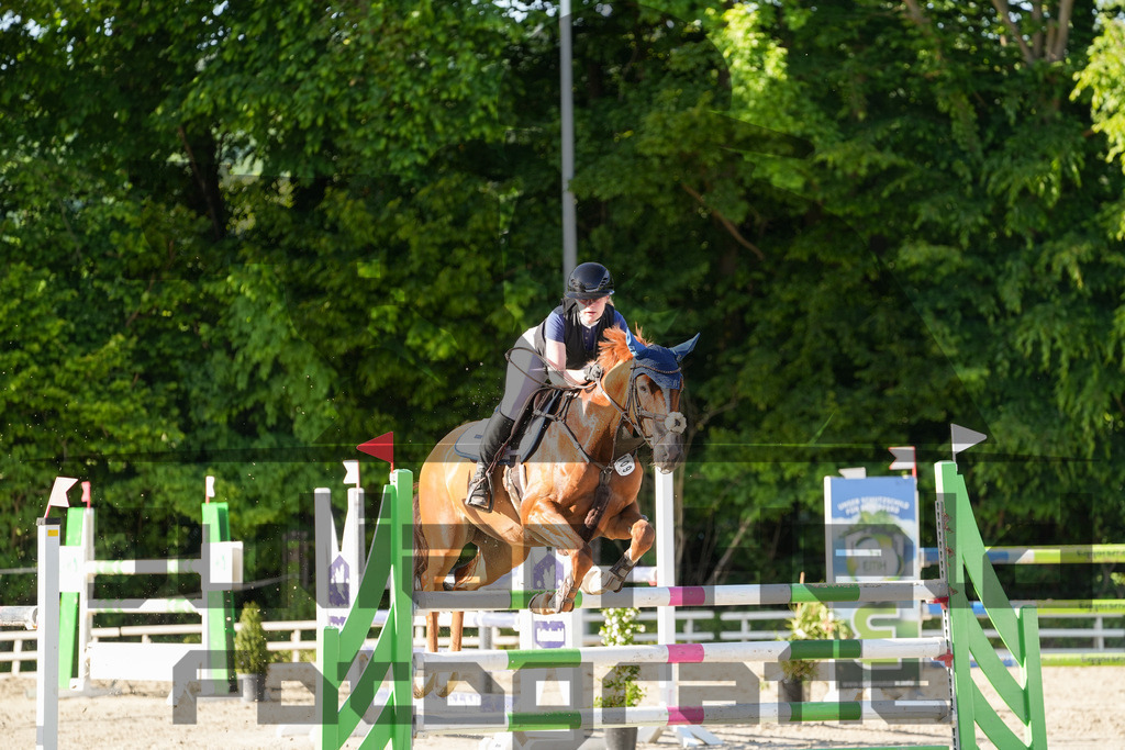 DSC02529 | Julian Held Fotografie - Realisiert mit Pictrs.com