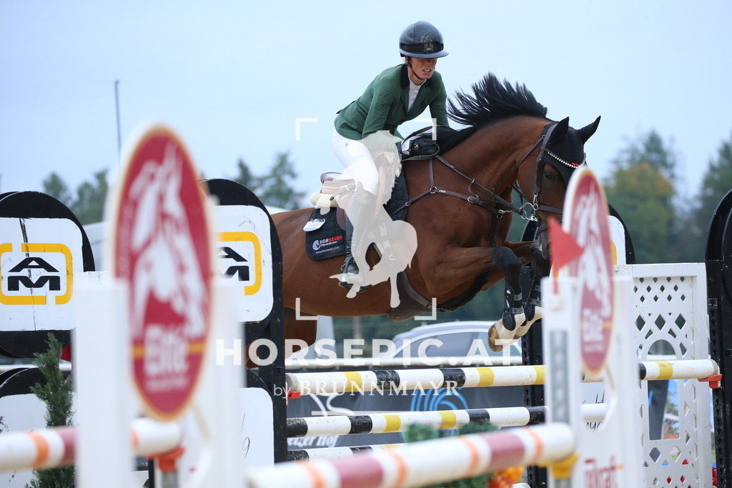 DL2Q3268 | Willkommen bei Brunnmayr - Design & Fotografie – Ihrem Spezialisten für Reitturniere und Pferdeveranstaltungen in Oberösterreich, Salzburg und Bayern! Seit über 17 Jahren sind wir leidenschaftlich dabei.