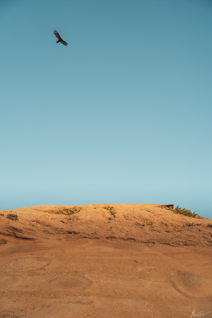 DSC00284-2 | In meinem Onlineshop biete ich nur sehr kritisch ausgewählte Fotografien an. Diese sind von meinen Reisen oder Kurztrips. Ich habe sie ausgewählt, da diese meiner Meinung Nach wunderbare Wandbilder darstellen.  - Realisiert mit Pictrs.com