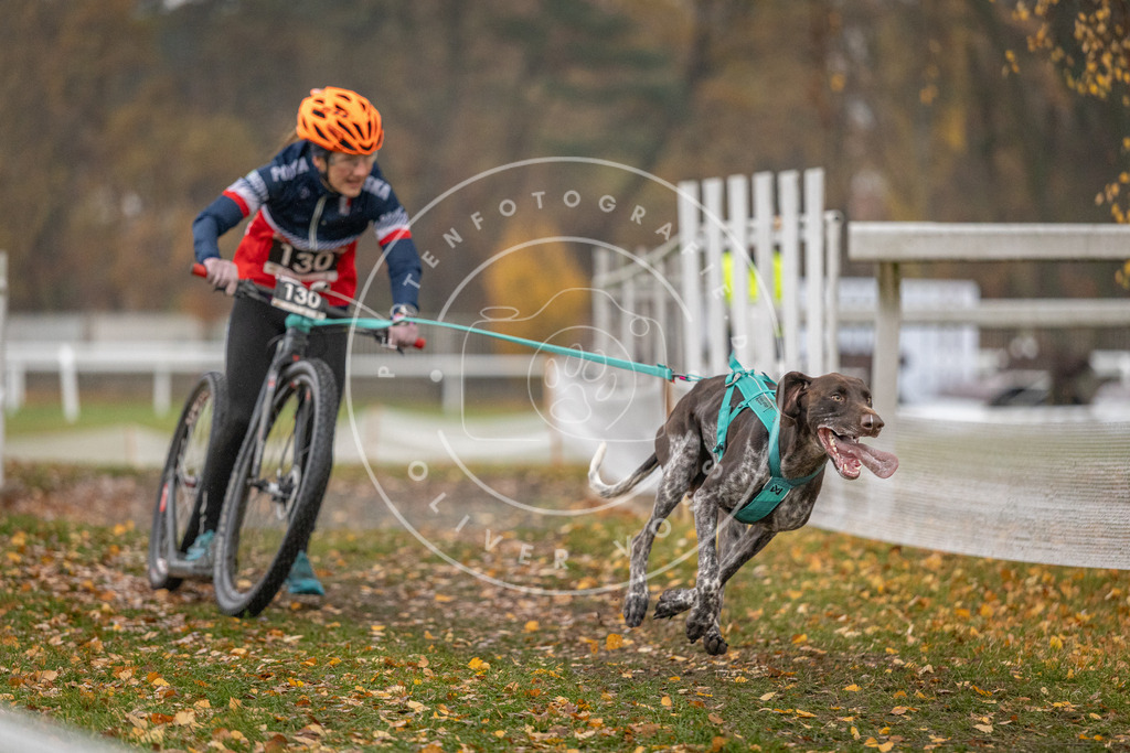 CaniXpix_DV3A7392 | Hundefotografie, Tierfotograf, Pfotenfotografie, Fotoshooting Hund, Hunde Portrait, Hundesport, Hundeportraits, Heideshooting, Hunde, Sportfotograf, Hundefotograf, Turnierhundsport, THS,  - Realisiert mit Pictrs.com