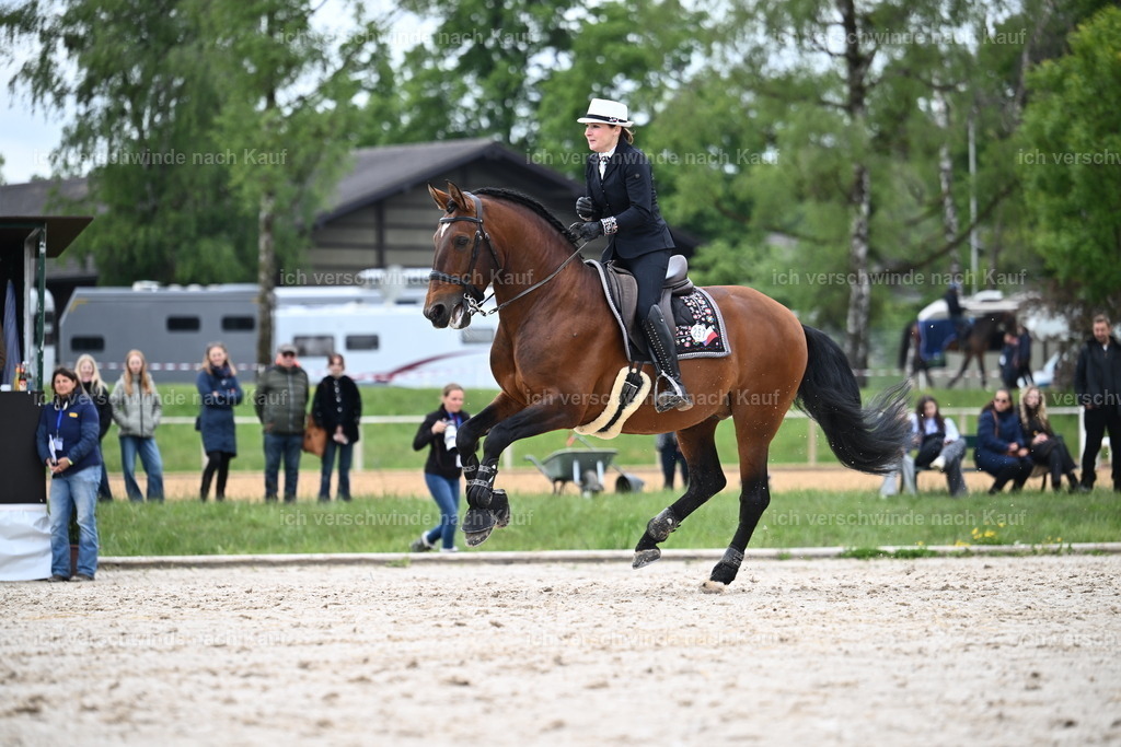PI26_SP_Sara_Landvogt_226_4940.JPG | working equitationturnier fotograf videograf stoibphotography marixx film working equitation deutschland reitsport turnierfotografie eventfotografie equestrian events