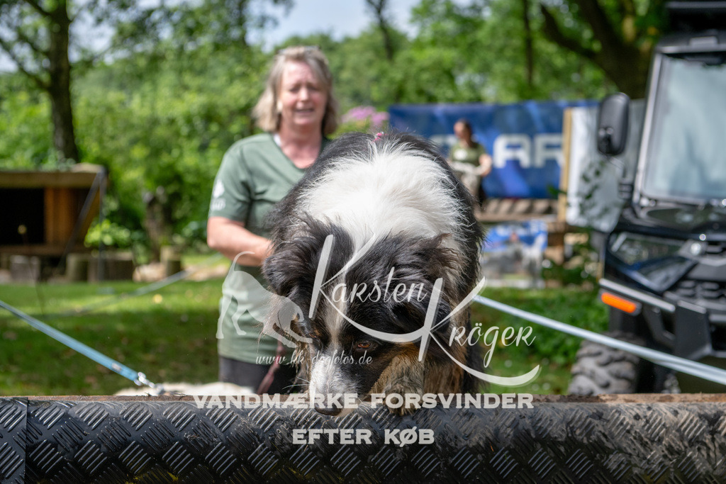 1124_ZZ94071 | kk-dogfotos