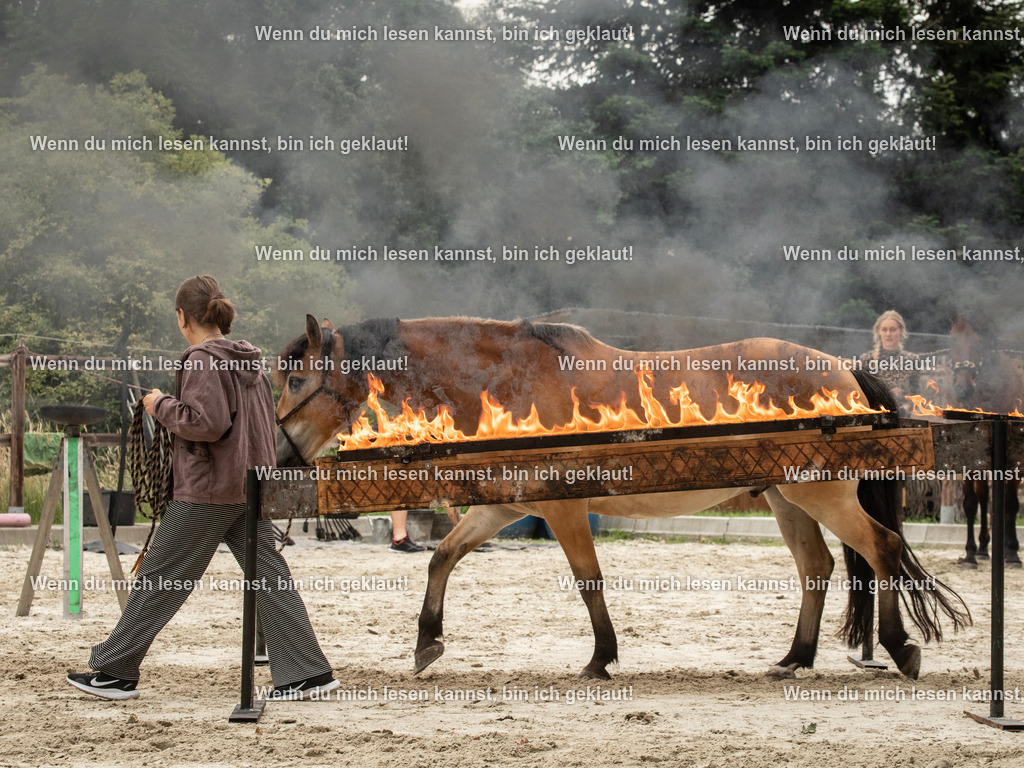 598A6660 | photographylinaismer - Realisiert mit Pictrs.com