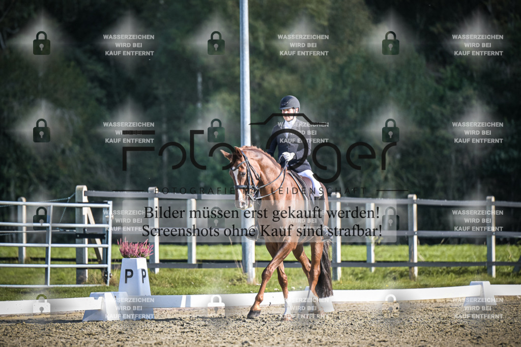 DOS_3724 | Entdecke hochwertige Reitturnierfotos von Foto Oger. Professionell, emotional und authentisch – jetzt Lieblingsmomente im Shop bestellen.Deutschlandweite Turnierfotografie. - Realisiert mit Pictrs.com